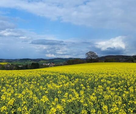 Foto - Schöne 4 Zimmer Wohnung mit Garten in Wüsten