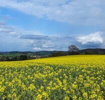 Schöne 4 Zimmer Wohnung mit Garten in Wüsten - Bad Salzuflen Ehrsen-Breden