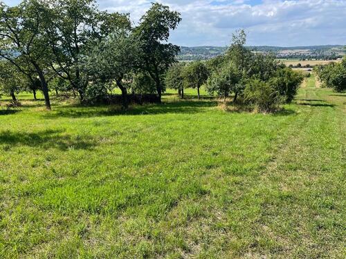 Foto - Baumgrundstück - 40,00&nbsp;EUR Kaltmiete, ca.&nbsp; 0,00&nbsp;m&sup2;