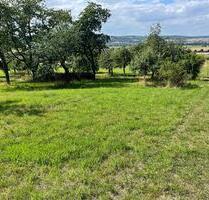 Baumgrundstück - 40,00&nbsp;EUR Kaltmiete, ca.&nbsp; 0,00&nbsp;m&sup2; in Ranstadt (PLZ: 63691)