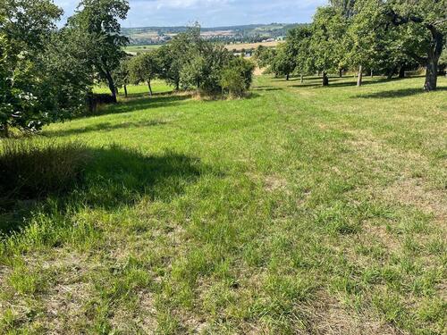 Foto - Grundst&uuml;ck zur Miete in Ranstadt