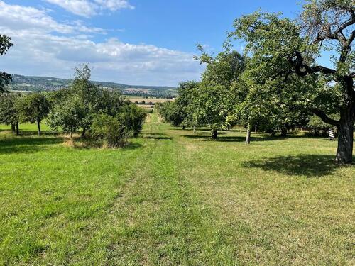 Foto - Grundst&uuml;ck in Ranstadt zur Miete
