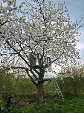 Foto - 6 Zimmer Einfamilienhaus in Bützow