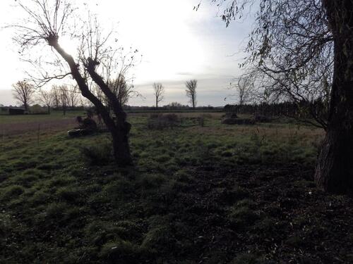 Foto - Einfamilienhaus in Küstriner Vorland
