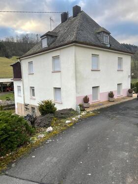 Foto - Einfamilienhaus zum Kaufen in Mettendorf