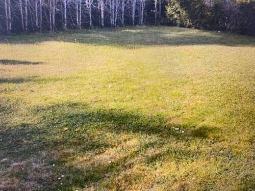 Foto - 10 Zimmer Villa zur Miete in Berlin