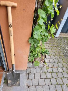 Foto - Grundst&uuml;ck zur Miete in Lindlar
