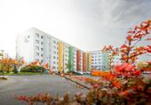 Foto - Etagenwohnung zur Miete in Görlitz