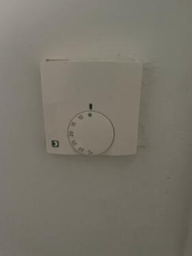 Foto - andere in Mainz zur Miete