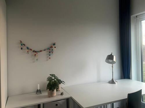 Foto - 1 Zimmer Erdgeschoßwohnung in Potsdam