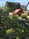 Foto - 3.5 Zimmer Einfamilienhaus in Neuenburg am Rhein