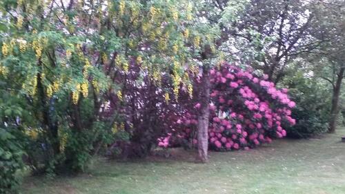 Foto - 3 Zimmer Wohnung nahe der Bruchertalsperre