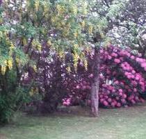 3 Zimmer Wohnung nahe der Bruchertalsperre - Wipperfürth