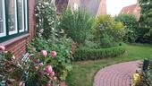 Foto - 6 Zimmer Einfamilienhaus in Rendsburg