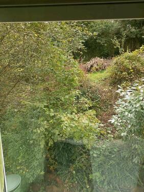 Foto - Erschlossenes Baugrundstück Nümbrecht