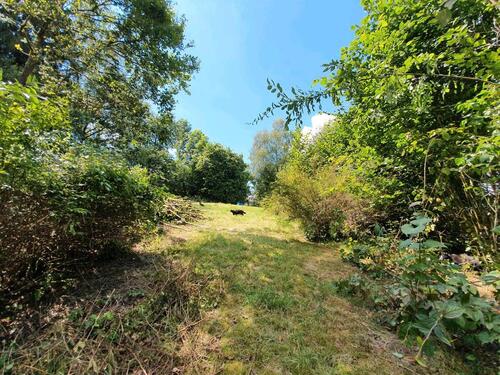 Foto - Grundst&uuml;ck zur Miete in Nümbrecht