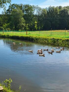 Foto - Mehrfamilienhaus, Wohnhaus in Bad Birnbach zum Kaufen