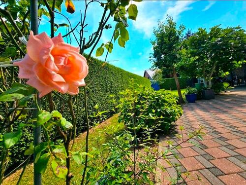 Foto - Einfamilienhaus in Kleve zum Kaufen