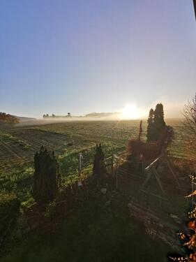 Foto - 5 Zimmer Einfamilienhaus zum Kaufen in Burgebrach
