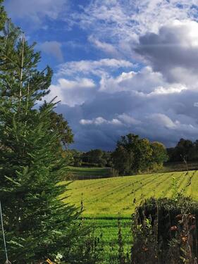Foto - Einfamilienhaus in Burgebrach zum Kaufen