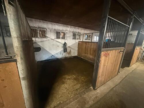 Foto - Große Halle zu vermieten - 800,00&nbsp;EUR Kaltmiete, ca.&nbsp; 480,00&nbsp;m&sup2;