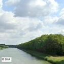 Foto - AUKTION - bewaldetes Grundstück am Mittellandkanal