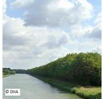 AUKTION - bewaldetes Grundstück am Mittellandkanal - Bückeburg