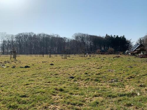 Foto - andere zur Miete in Tarp