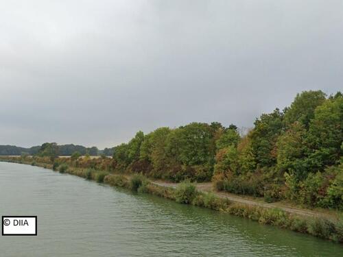 Foto - AUKTION - drei vertragsfreie Gehölzflächen am Mittellandkanal