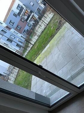 Foto - 3 Zimmer Erdgeschoßwohnung in Essen