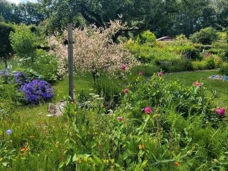 Foto - Kleingarten abzugeben - 2.800,00&nbsp;EUR Kaltmiete, ca.&nbsp; 0,00&nbsp;m&sup2;