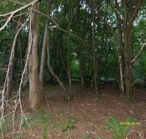 2 Waldgrundstücke - 3,00 EUR Kaltmiete, ca.  0,00 m² in Bad Bibra (PLZ: 06647)