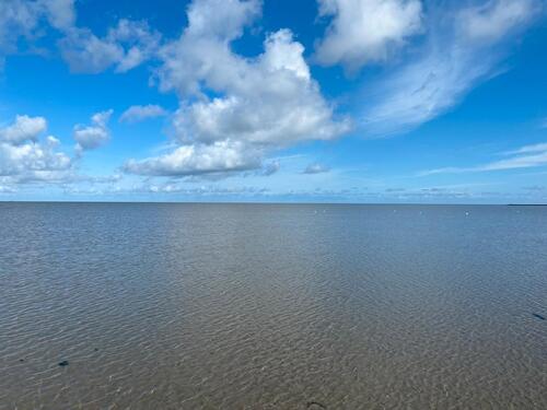 Foto - Buchungslücke 5 Nächte Mai 2026 Nordsee Tossens