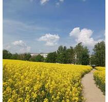 2 Zimmer zum Glück! - 345,00&nbsp;EUR Kaltmiete, ca.&nbsp; 50,59&nbsp;m&sup2; in Freiberg (PLZ: 09599)