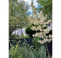 Ein Haus zum Ankommen und Verlieben - Berlin Lichtenberg