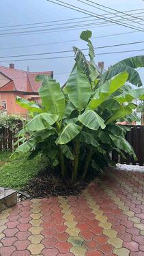 Foto - Einfamilienhaus in München zum Kaufen