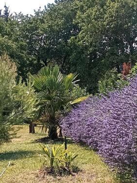 Foto - 