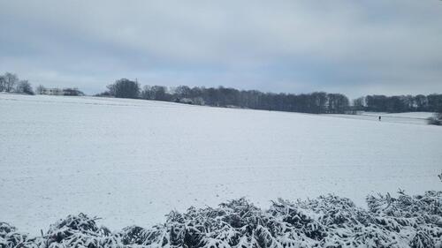 Foto - 3 Zimmer Etagenwohnung in Windhagen