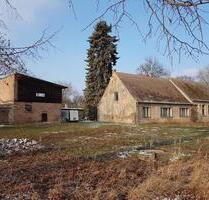 Provisionsfrei. Historisches Landhaus auf 8000m2 Grundstück - Ferdinandshof