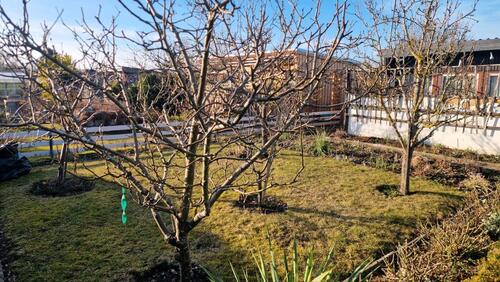 Foto - Grundst&uuml;ck in Lambrechtshagen