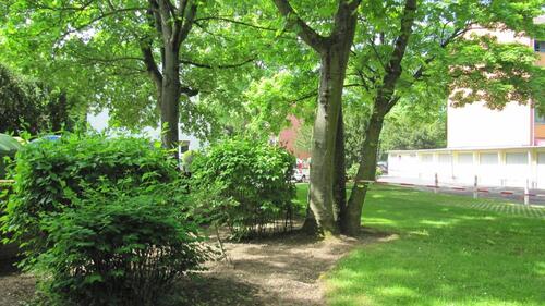 Foto - Eigentumswohnung in Bonn-Duisdorf