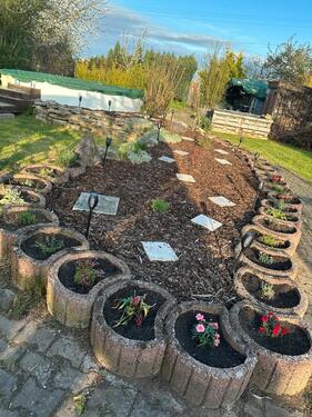 Foto - Pachtgarten am Windeberger Kreuz