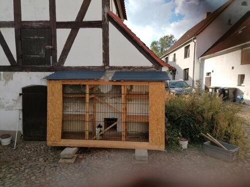 Foto - Bauernhaus, Landhaus in Kemberg