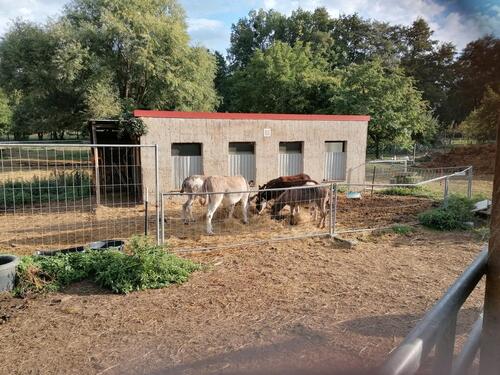 Foto - Bauernhaus, Landhaus in Kemberg zum Kaufen