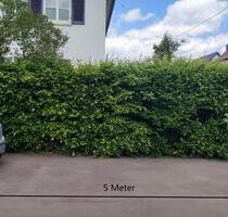 Hofparkplatz Außenstellplatz PKW Stellplatz - Stuttgart Vaihingen