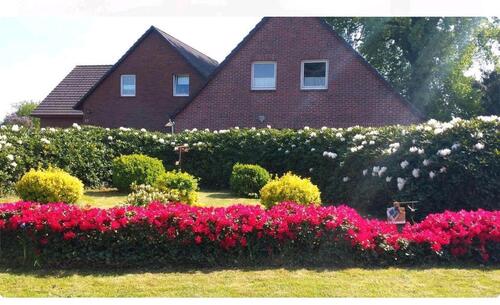 Foto - Ferienhaus Trudi 6Personen+2 Hunde