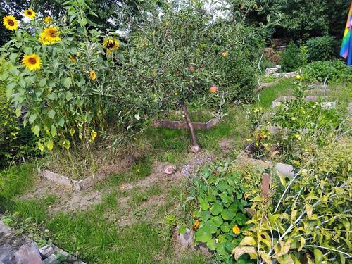Foto - Grundst&uuml;ck in Halle (Saale)
