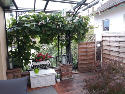 Foto - 2.5 Zimmer Etagenwohnung zur Miete in Flörsheim am Main