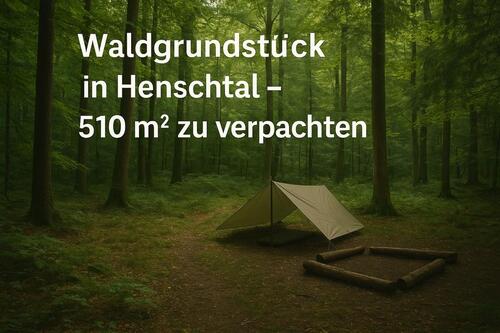 Foto - Wald in 66909 Henschtal zu verpachten für Waldfreunde Bushcrafter