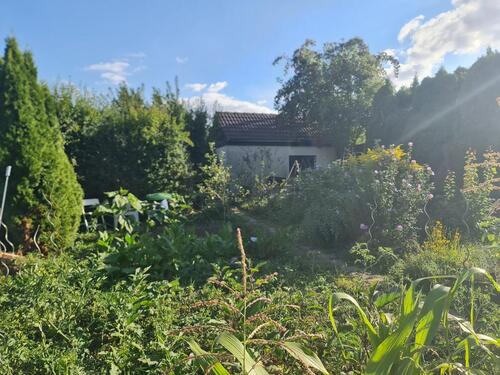 Foto - Garten bei Halle Saale neustadt Steinhaus mit Ziegeldach